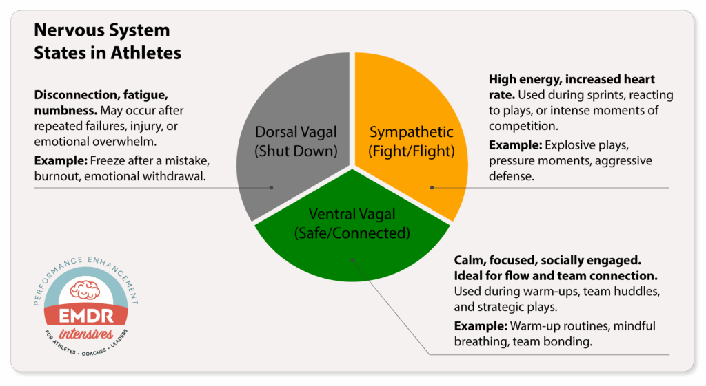Nervous System States in Athletes