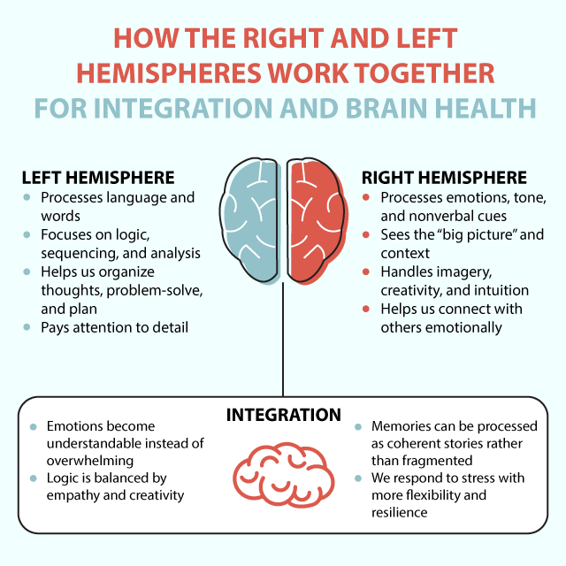 Diagram showing how the left and right brain hemispheres work together through brain integration for athletes to improve emotional regulation, decision-making, and peak performance.