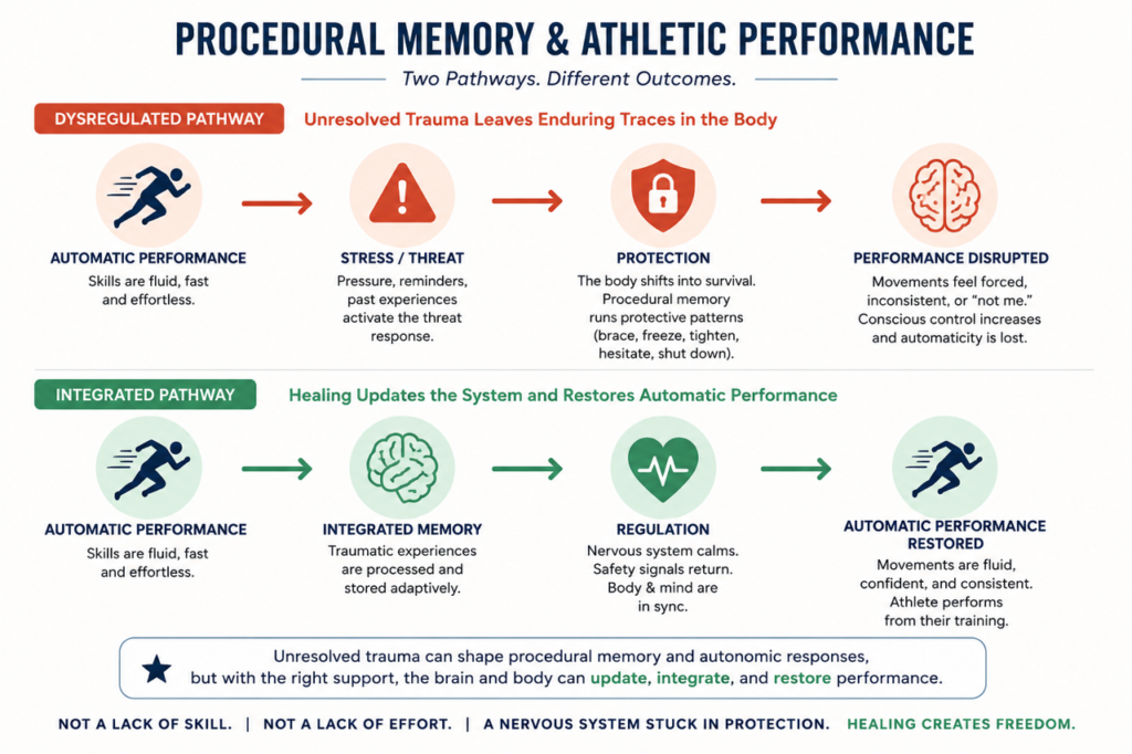 Procedural memory in sports showing how unresolved trauma can disrupt athletic performance and how integrated memory helps restore automatic performance through nervous system regulation.