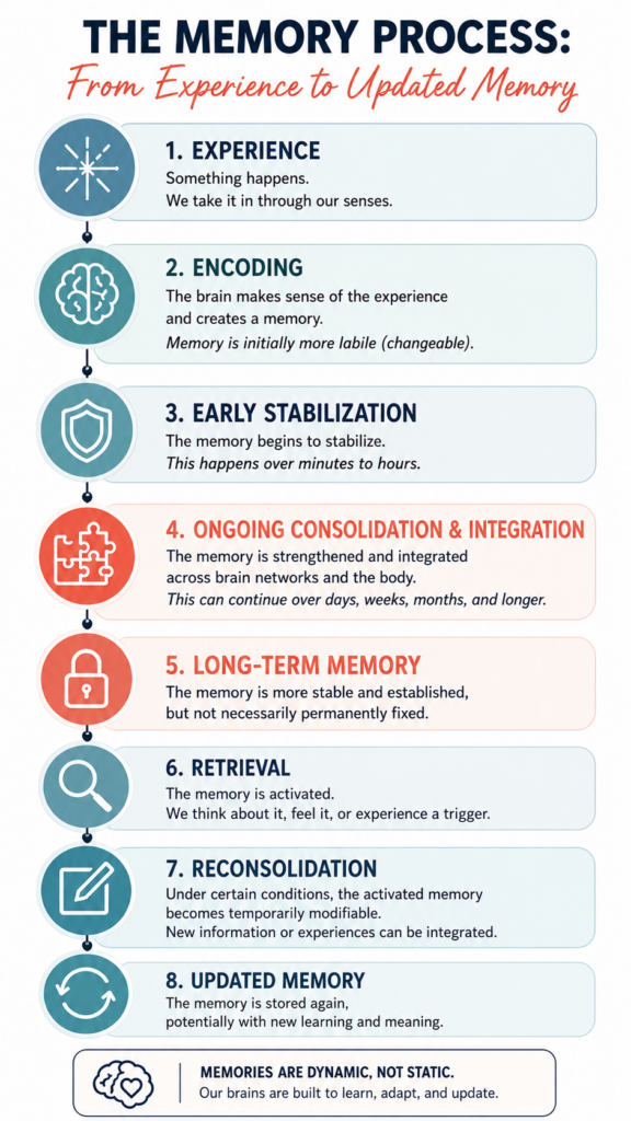The memory process from experience to updated memory, showing encoding, stabilization, consolidation, retrieval, reconsolidation, and memory updating in athletes.
